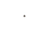 Screw-in filter G1/4in 80 µm