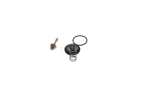 Water Regulator Kit