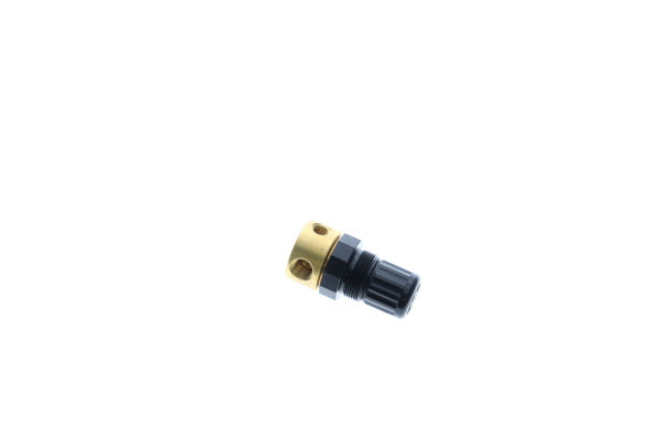 SP Panel Mount, Pressure Regulator, AF